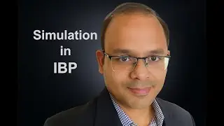Simulations in IBP