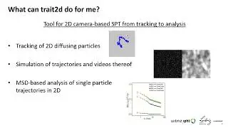 TRAIT2D: a Software for Quantitative Analysis of Single Particle Diffusion Data