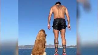 Watch: Man Jumps Into Water, Golden Retriever Follows Him