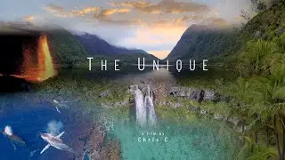 The Unique - Reunion Island