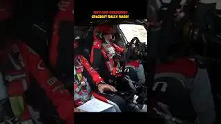 CRAZIEST Rally RAGE! #shorts #crash #rally #wrc #racing #toyota #f1 #rallyrace #race #cars #rage
