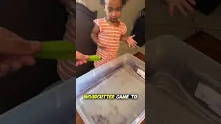 Leaf propelled by ink experiment 🖋️ #scienceexperiment #scienceismagic #scienceactivityforkids