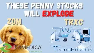 Transenterix Stock (TRXC) and Zomedica (ZOM) Stock Updates! | These Penny Stocks Can Explode!