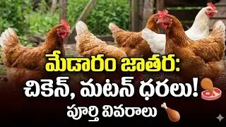 మేడారం లో  మటన్, చికెన్ ధరలు ఎలా ఉన్నాయి// NON VEG Prices in Madaram// Sammaka sarakka jathara