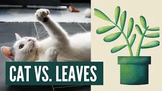 Cat Plays With Money Tree Leaves