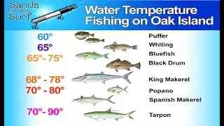 How Water Temperature Affects Fishing