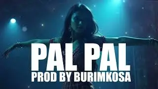 ' Pal Pal ' Indian Vocal Beat Rnb Bollywood Hiphop Type Beat 2025 | Instrumental