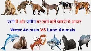 जलचरों और स्थलीय जानवरों की पहचान | Water Animals vs Land Animals With song