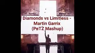 Diamonds Vs Limitless - Martin Garrix (PeTZ Mashup)