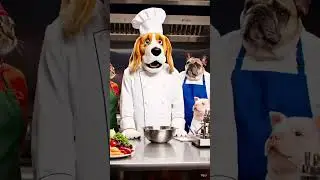 Dogesh bhai Chef banne k bad banenge judge?#food#foodies#chef#competition#love#vlog#youtubeshorts
