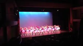 Allegro - How to Train your Dragon - Ballet Youth