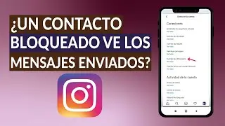 &iquest;Un Contacto Bloqueado en Instagram Ve los Mensajes Enviados? - Respuestas Aqu&iacute;