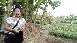 Cả nhà ủng hộ kênh nhé xin cảm ơn 