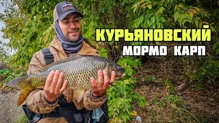 Мормышинг с НАВАХО NA45-612F-S | Лещи и жирный курьяновский карп