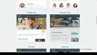 Monroe - Life Coaching and Consulting Theme training Life Coach