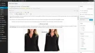 Como trocar nome de autor em post do Wordpress