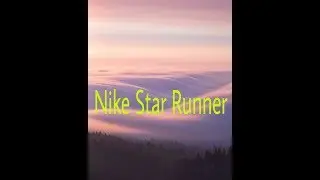 Обзор Кроссовок Nike Star Runner (GS)