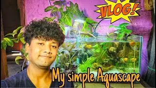 DIY Aquascape at Home nepali | Simple Square Tank Setup for Healthy Fish & Plants 🌿🐠