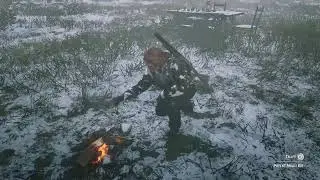 Rdr2