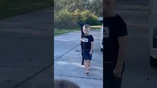 Taking the llama for a walk #viral #shorts