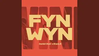 Fyn Wyn (feat. Shady B)
