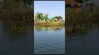 Loktak--Only floating Lake in the world     #shorts  #loktaklake #manipur #shortsvideo #shortsviral