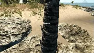 Stranded Deep обзор обновления 0.03H2