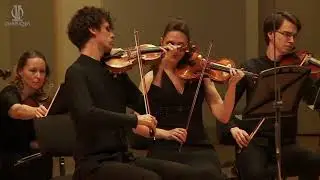 Star Wars Medley (for Harp and Strings) John Williams | Попурри Звездные Войны (для Арфы и Струнных)