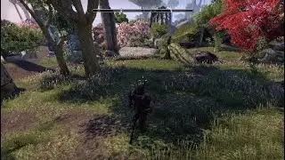 ESO - Main Quest - Aldmeri Dominion - Auridon - Part 1
