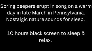 Spring peepers erupt in song in late March, 10 hours tree frog sounds, black screen sleep relax