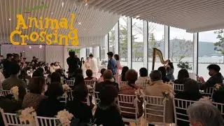 Animal crossing theme songs - Harp Music at Wedding