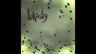 birds - clovwark (Official Audio)