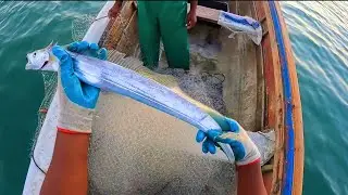 NET FISHING FOR THE BEST FRYING FISH ON THE PLANET!!! #fish #adventure #fishing @cameronfamilytv