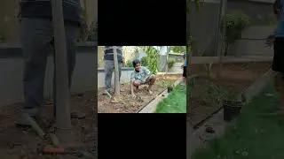 1st May Maharashtra Diwas and Tree Plantation Day at Goodwill Fabian | 2024