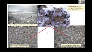 Limestone Barrens of the Great Northern Peninsula, Newfoundland, Canada &ndash; a biodiversity hotspot