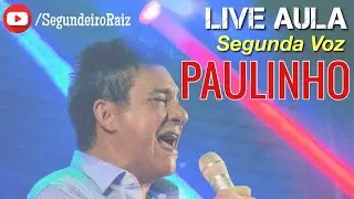 Live Aula de Segunda Voz - Paulinho (Cezar e Paulinho) | Duas Vezes Você #comofazersegundavoz