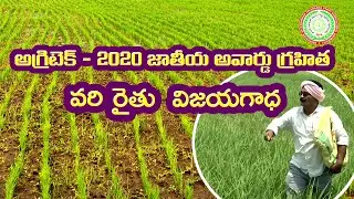 Success Story on Dry converted wet rice  ll PJTSAU ll