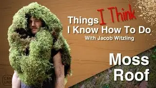 Things I Think I Know How to Do: Moss a Roof