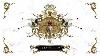 Bubaseta - La Evolución - Serafines 👼