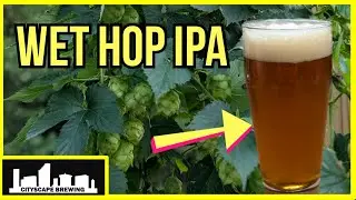 Охмелённый IPA! Из сада в бокал с использованием моего собственного свежего хмеля!