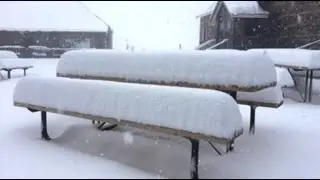 2nd Summer Snowfall for New Zealand & Helicopter Downdraft to Dry Soggy Fruit (299)