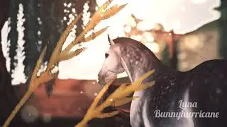 New soundtrack Starshine Ranch 001 - Star Stable Online
