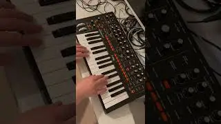 Moog Messenger | Arpeggiator by Roland Erdosi