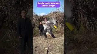 Kung Fu masters demonstrate Chinese Kung Fu #kungfu