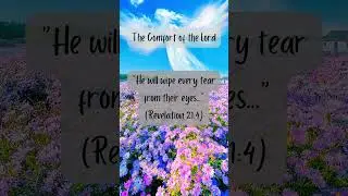 From the Bible: The Comfort of the Lord #biblequote #bibleverse #bibleversedaily #comfortingod