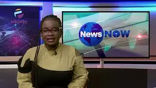 Niger: Army Delegation Hails Guinean Government For 'Support' After Coup