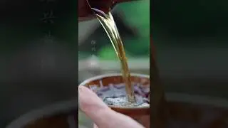 Why This Wine Takes 20 Years to Make 🍶 #wine #asmr #oddlysatisfying