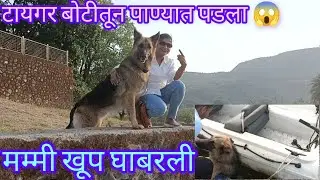 मम्मी पप्पांवर खूप चिडली 😳/ टायगर बोटीतून पाण्यात पडला/ 😱part 2