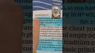 Colossians 3:19 #Godsword #Jesus #God #Holyspirit #Christianity #Bible #love #shorts #short  #video