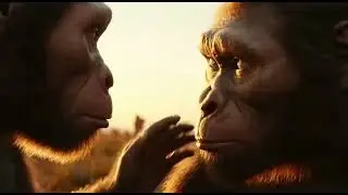 Traceability: The Origin of Humanity
